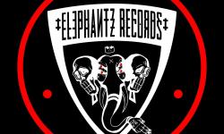 Electro Station : Elephantz Records